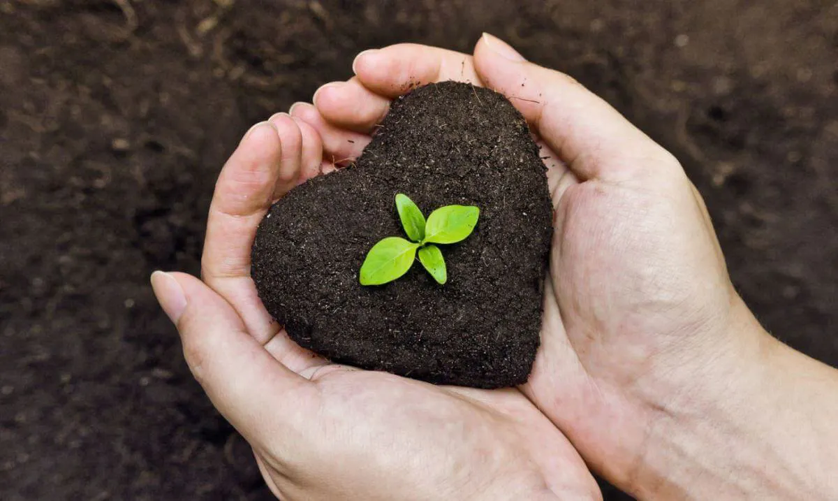 What is organic fertilizer and what does it do?