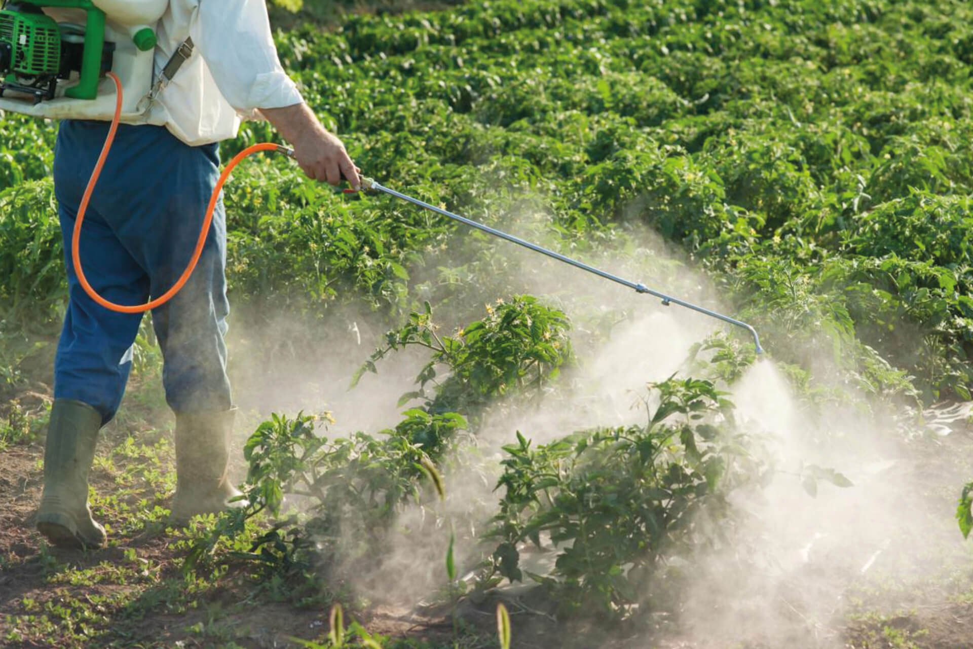 Sale of pesticides