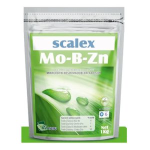 scalex-mo-b-zn